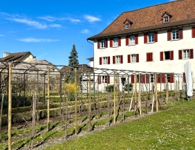 Der Frühling hält Einzug im Klostergarten!